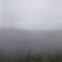 Une ellipse de cygne