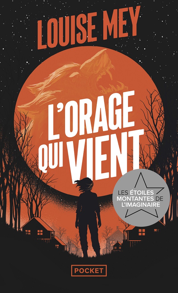 allez on lit # 89 L’orage qui vient de Louise Mey.jpg