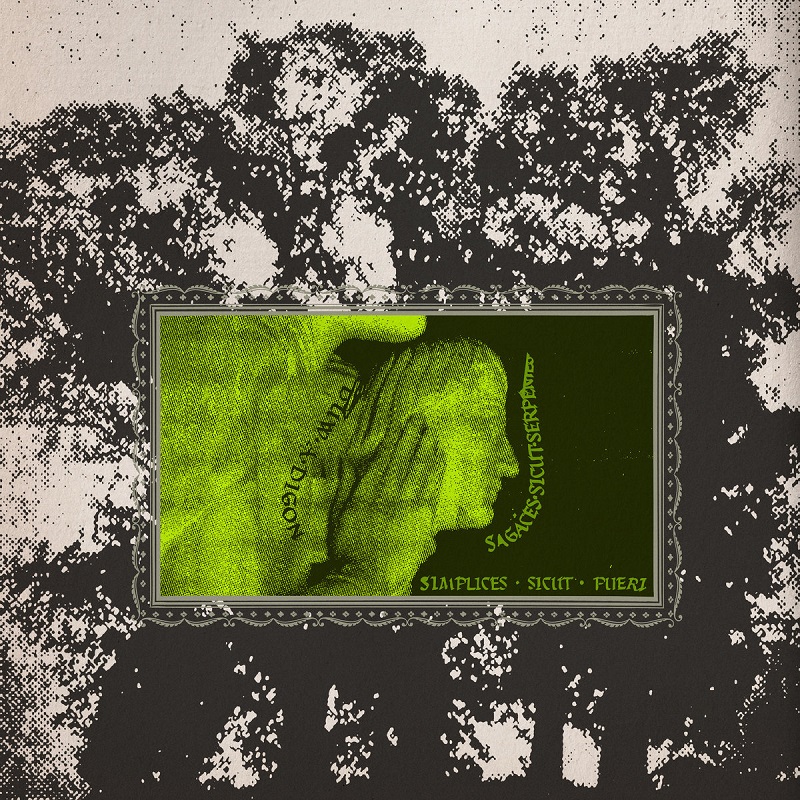 sieste is it a kind of dream.jpg