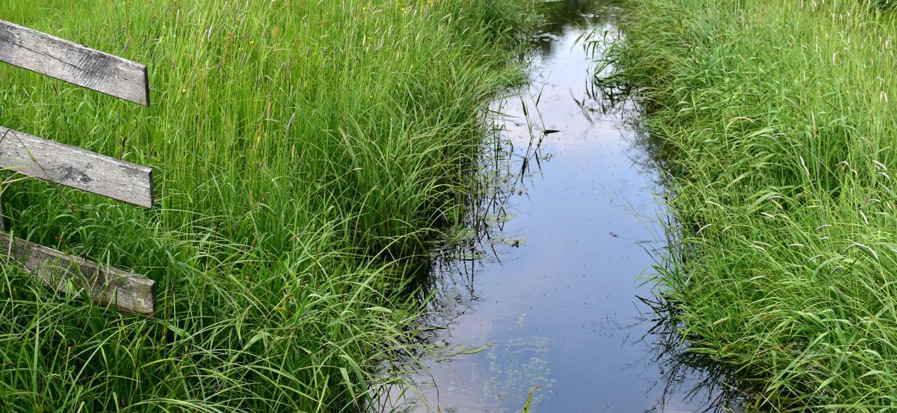 Mobilisation de scientifiques rennais·es pour la reprise du SAGE Vilaine / Faire dialogue la psychiatrie et la culture : sortie de résidence de Celleux qui nous entourent