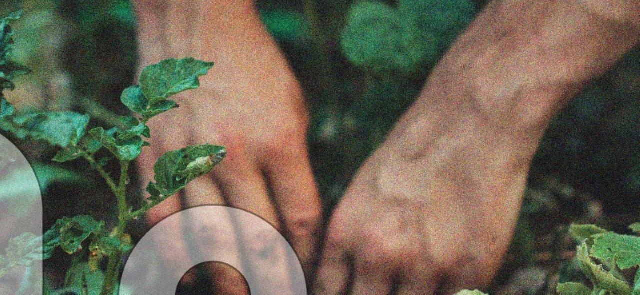 Pédagogie du dehors et culture du risque : le renouveau de l'écologie populaire ?