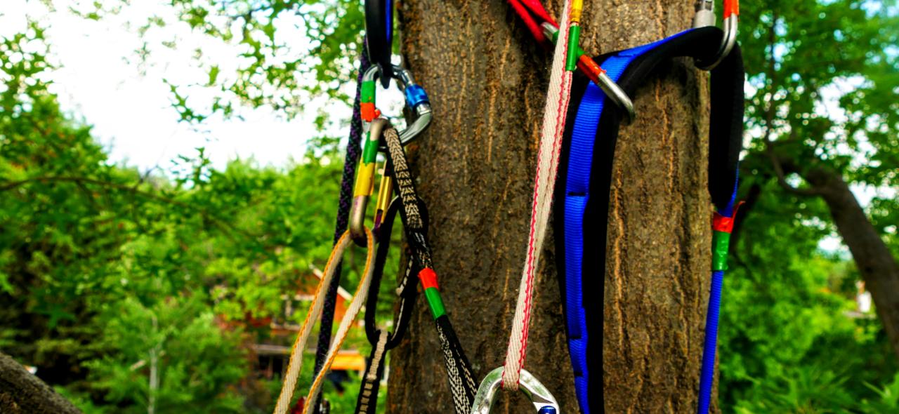 Au grand air, les mains dans la terre : éduquer dehors pour grandir et se grandir