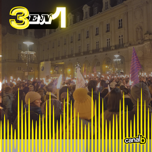 Immigration et langue française : durcissement des conditions d’accès à des titres de résidence avec le Collectif "Le Français pour toustes" / Immersion dans la Marche aux Flambeaux du 25/11