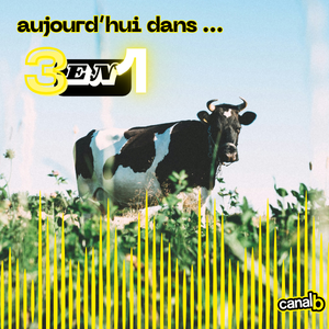 Quelles place occupe le lait bio en dans le territoire agricole qu'est la Bretagne ? (avec Agrobio) / Quels conséquences après le durcissement de la loi immigration ? (CIMADE)