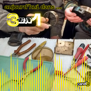 Quelles sont les conséquences sanitaires de la présence de particules plastique dans les repas préparés aux élèves ? / Comment donner une seconde vie à nos objets tout en créant du lien social ?