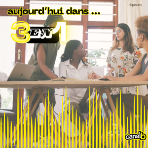 Zoom sur le fonctionnement des jumelages à Rennes / Sorti d'un guide de conseils "Pour un territoire accueillant” par l'Association Nationale des Villes et Territoires Accueillants 