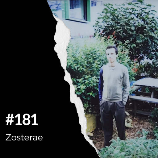 Aloha from Rennes #181 - Zosterae