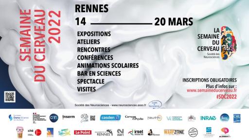 Ballon rond, budget 2022 et métamorphose du centre-ville au menu du conseil municipal // La semaine du cerveau à Rennes jusqu'au 23 mars