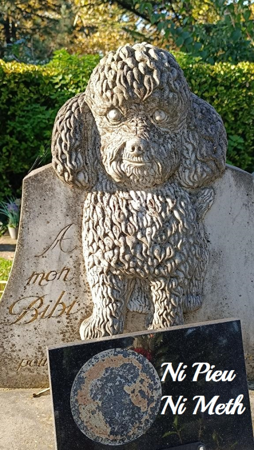 Ouïedire #323 Rachitik Data - Ni pieu ni meth