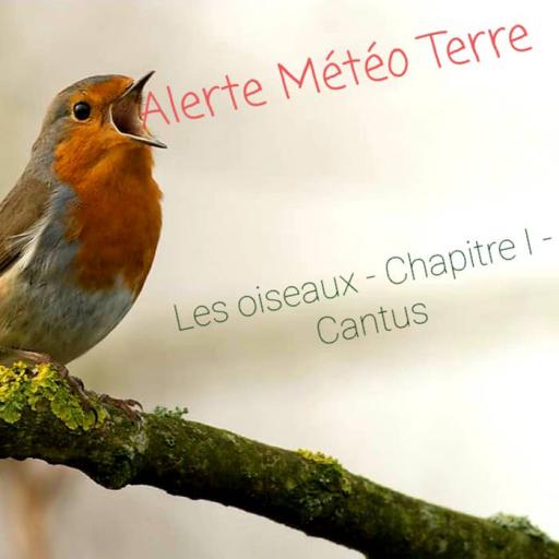 Alerte Météo Terre - Sur les oiseaux - Chapitre I : Cantus