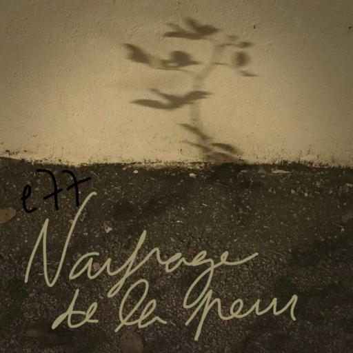 Les Menstruelles #77 - Naufrage de la peur