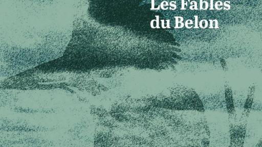 Les fables du Belon, premier chapitre de l'Atlas des rivières de Bretagne // Retrouvez le GAEC du Canal Saint-Martin aux 24h de la biodiversité [REDIFFUSION]