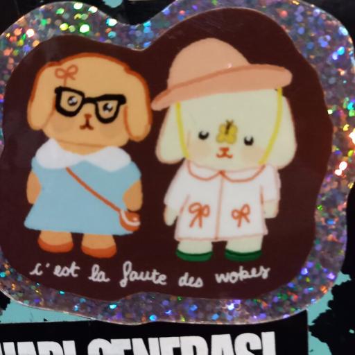 C'est la faute des woke