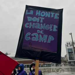 3 EN 1 Spécial 25 novembre - Journée de lutte contre les violences faites aux femmes