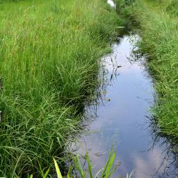 Mobilisation de scientifiques rennais·es pour la reprise du SAGE Vilaine / Faire dialogue la psychiatrie et la culture : sortie de résidence de Celleux qui nous entourent