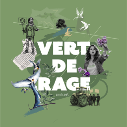 Vert de rage, une série documentaire sur l'écologie