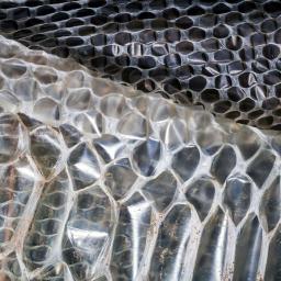 Canal B fait sa mue de printemps ! 