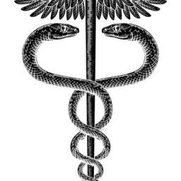 MUSICOTHERAPIE