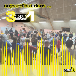 Entretien délégué syndical de la CGT pour l'hypermarché Carrefour Alma / Cercle celtique en jumelage avec Brno