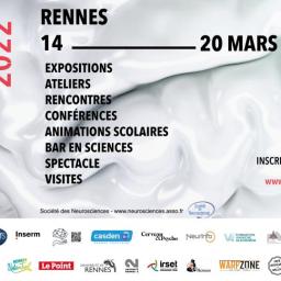 Ballon rond, budget 2022 et métamorphose du centre-ville au menu du conseil municipal // La semaine du cerveau à Rennes jusqu'au 23 mars