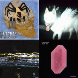 N°1456