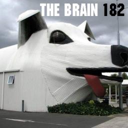The Brain 182