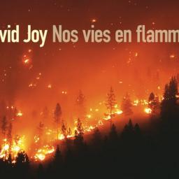 PLEIN LES POCHES # 36 : Nos Vies En Flammes de David Joy