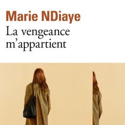 PLEIN LES POCHES # 51 : La vengeance m'appartient de Marie NDiaye