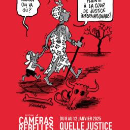 Caméras rebelles, le festival cinéma d'Amnesty international du 8 au 12 janvier