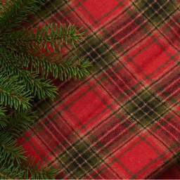 Des cadeaux pas bêtes pour les fêtes : rétrospective de coups de coeur littéraires