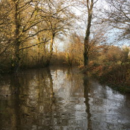 Des riverains pour défendre des prairies humides à Saint-Grégoire 