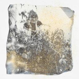 Exposition : Le manifeste des Lucioles jusqu'au 25 janvier à l'Instantané