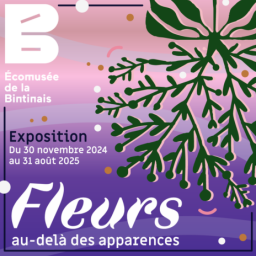 "Fleurs, au-delà des apparences" à l'Ecomusée de la Bintinais