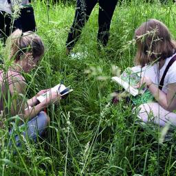 Trois communes unies pour constituer un atlas de la biodiversité près de Rennes