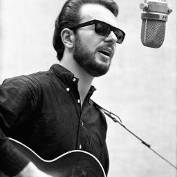 Pureté du folk rock originel (1965-1968)