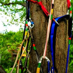 Au grand air, les mains dans la terre : éduquer dehors pour grandir et se grandir - Episode 4
