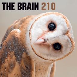 THE BRAIN #210