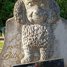 Ouïedire #323 Rachitik Data - Ni pieu ni meth