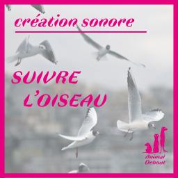 Animal Debout - Suivre l'oiseau / Micro Sillon - Quand la radio trompe l'oreille