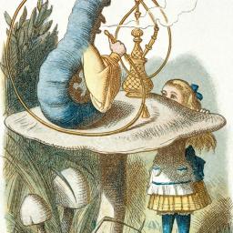 Au pays des Merveilles (Barbatrax)