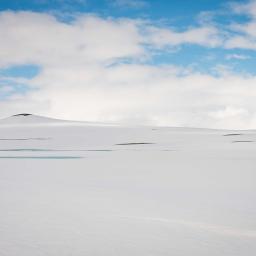Merry Indie Christmas (José)