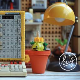30 ans de l'association Bug