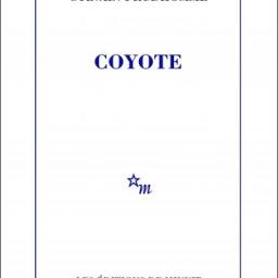 métiers invisible des festivals - Théo Le Goff, chargé de coordination de l'accueil des publics au festival Travelling / bouquet garni # 14 : Coyote de Sylvain Prudhomme