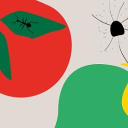 Spéciale festival Marmaille 2024 - Virginie Dréano, Enora Boëlle, Gilles Debenat, Cédric Guyomard & Vincent Perrigault