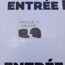 Moule à merde