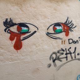 Yeux Palestine