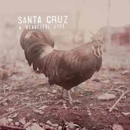 #175 Quitter Santa Cruz [feat. Pierre-Vital Gérard]