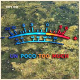 Un Poco Too Much Maria False When cover