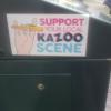 Support Your Local Kazoo Scene