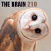 THE BRAIN #210